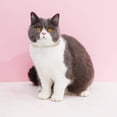 thumbnail image 6 of Mumup 4 Pieces Rhinestones Cat Collars Breakaway Cat Collar with Bell Bling Pet Accessories with Soft Velvet, 6 of 6