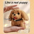 thumbnail image 5 of 2025 New Robot Dog for Adults, AI Robotic Dog, Nicoo - My Realistic Robot Puppy That Acts Like a Real Puppy - Walking, Barking, Tail Wagging, 5 of 5