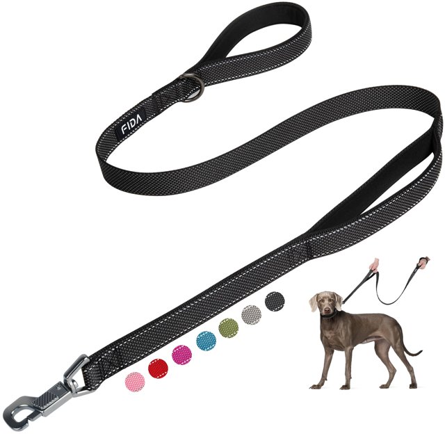 Correa para perro Fida Heavy Duty de 150 cm con 2 asas acolchadas, color negro