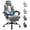 Gray and White, variant on Walsunny Ergonomic Gaming Chair, Office Chair with High Back and Lumber Support, Swivel Racing Chair with Adjustable Pillows & Footrest, Black