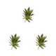 thumbnail image 1 of Planta artificial Cateissary ABS suculentas MM215 Otoño, 1 of 6