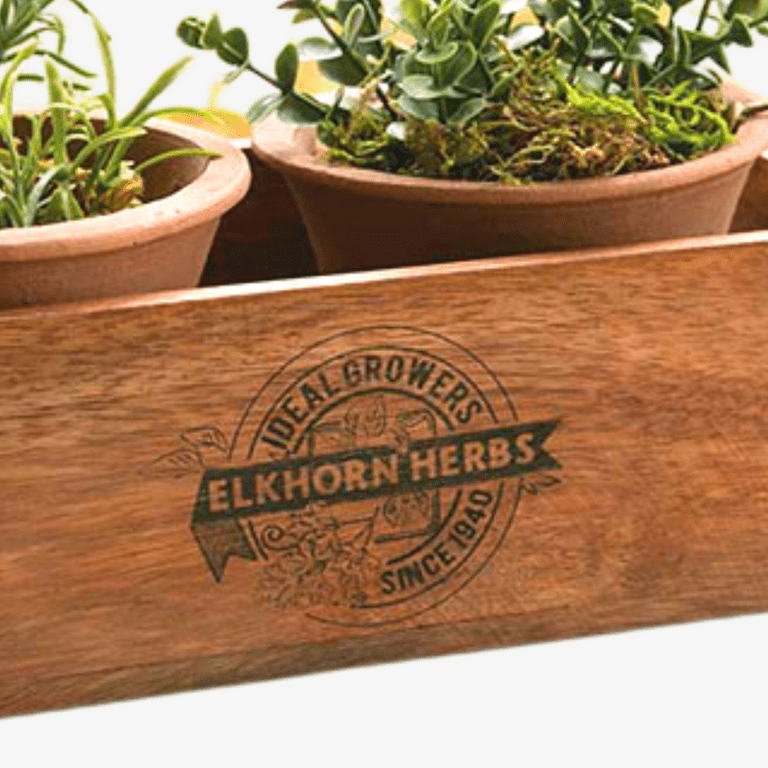 Home Page - Elkhorn Pottery