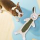 thumbnail image 3 of Juguetes Para Perros Sin Relleno Y Con Textura Arrugada Juguetes Chirriantes Para Perros Que Muerden Con Fuerza Juguetes Interactivos Para Perros Grandes, Medianos Y Pequeños Juguetes Sin Relleno, 3 of 6