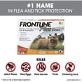 thumbnail image 5 of FRONTLINE Plus Flea and Tick Treatment for Dogs (Small Dog, 5-22 Pounds, 6 Doese), 5 of 5