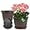 Red Brown, variant on Planter-Pots-for-Plants-Indoor-Outdoor, 3 Pack 10 Inch Plastic Flower Pots with Saucer & Drainage Holes, Modern Garden Planters for Planting Medium Large Plants，Decorative Resin Garden Pots