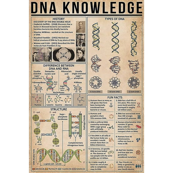 Dna Knowledge Posters Biomedical Science Metal Signs School Room Decor Home Club Wall Decor Retro Plaque 8x12 Inches