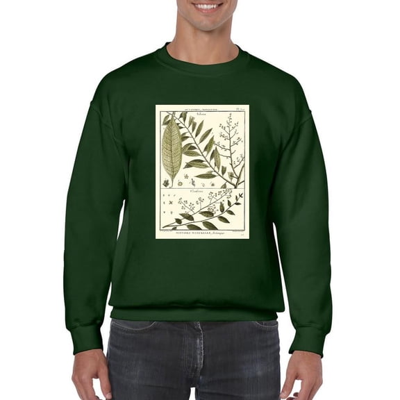 Fern Classification Iii Sweatshirt Men -Denis Diderot Designs, Male Medium