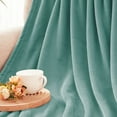 thumbnail image 6 of Exclusivo Mezcla Fleece Throw Blanket for Couch, Sofa, 300GSM Super Soft and Warm Blankets, Celadon Throw All Season Use, Cozy, Plush, Lightweight, 50x60 Inches, 6 of 8