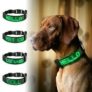 Leadleds Light Up LED Dog Collar, Polyester, Adjustable, Safety Glow, Fashion Collar, Green