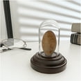 thumbnail image 2 of Plymor Miniature 1" x 2" Mini Glass Display Dome TINY Cloche (Dark Mahogany Veneer Base), 2 of 2