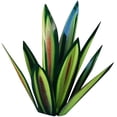 thumbnail image 6 of Rungungde 25“ Tequila Rustic Art Sculpture, DIY Metal Agave Plant Outdoor Garden Statue Decorations, Metal Tequila Hand Painted Statue Ornaments with 9 Leaves for Garden Yard Patio Decor, 6 of 7