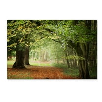 Trademark Fine Art "Through the Woods" Canvas Art by Philippe Sainte-Laudy