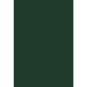 LUXPaper 13 x 19 Cardstock, 100lb Green Linen, 500/Pack