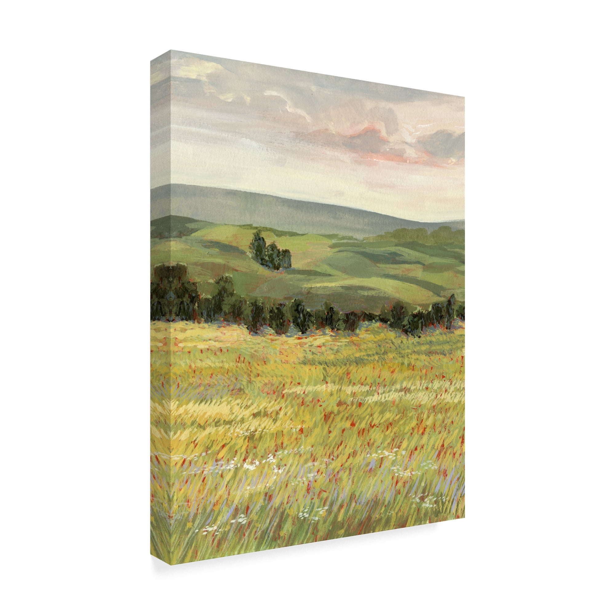 Trademark Fine Art 'Morning Meadow I' Canvas Art by Victoria Borges