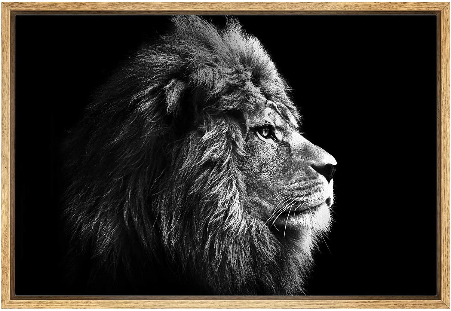 Lions Couple King Forest 5 Pieces canvas Wall Art Picture Poster Home Decor 