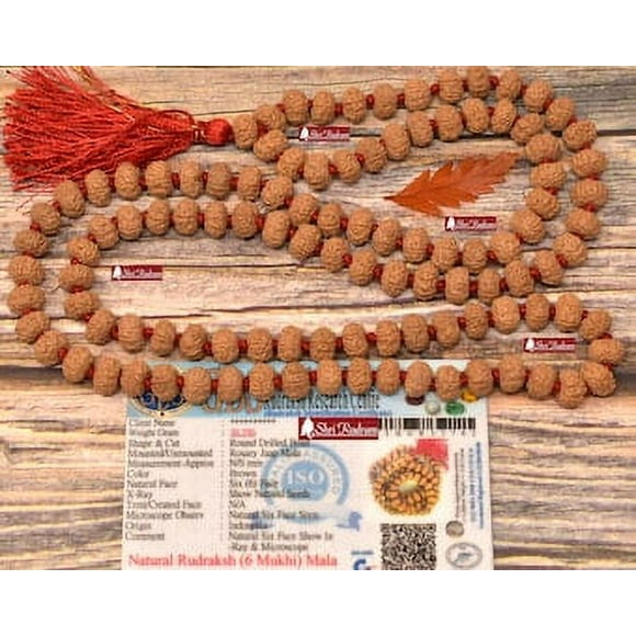 6 Mukhi Rudraksha Mala Rosary