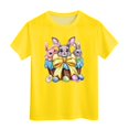 thumbnail image 4 of ZTKWD Girls Pleated T Shirts Kids Summer Short Sleeve Fashion Tops Tees 5-14 Years Easter bunny, 4 of 4