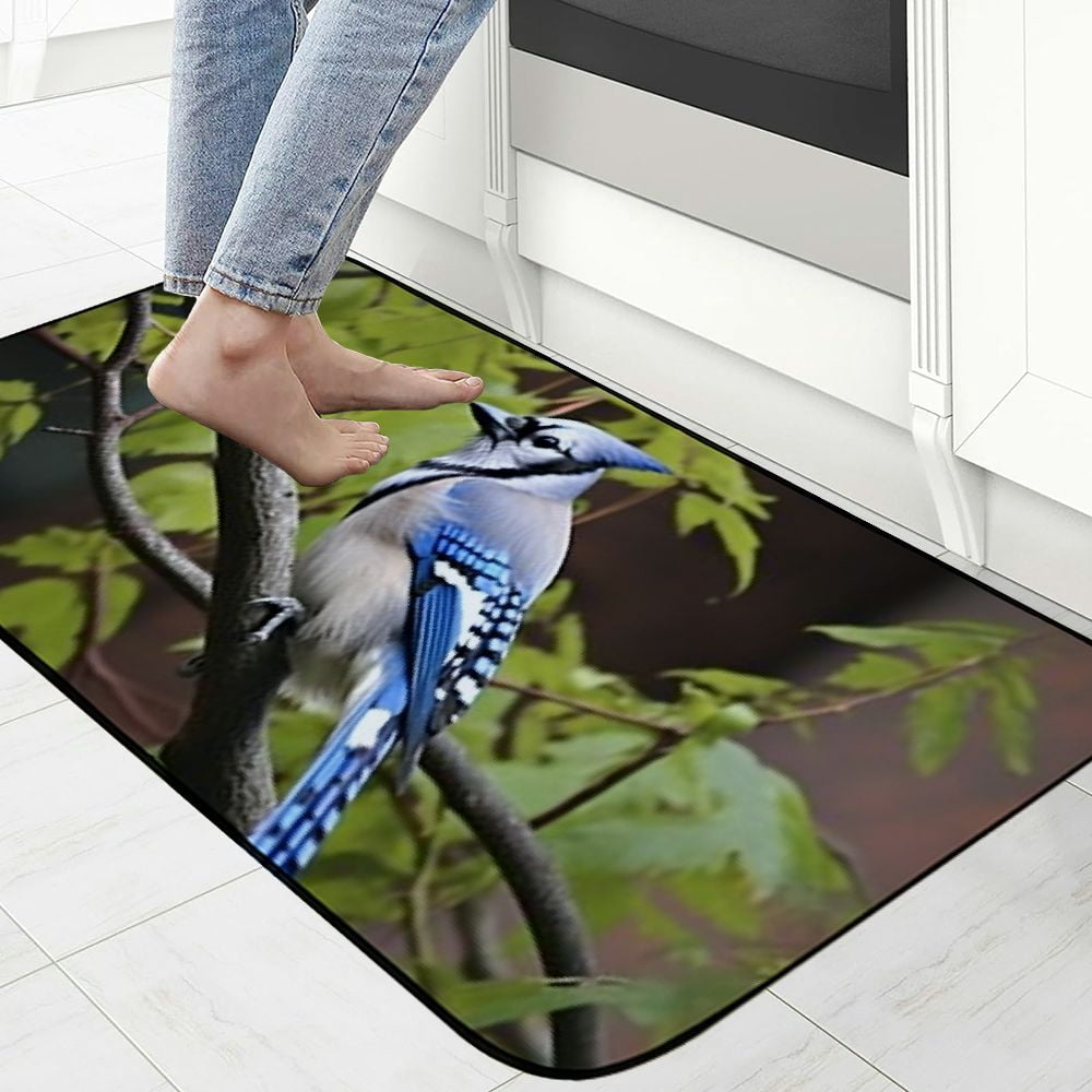 Qinduosi Decorative Door Mat, Door Mat with Non-Slip Rubber Backing, Easy Cleaning, Traps Dirt, for Entry, Patio, Garage 19.68*47.24 in