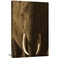 thumbnail image 1 of Global Gallery Tim Fitzharris,'African Elephant male portrait with long tusks, Kenya' Stretched Canvas Artwork, 1 of 4