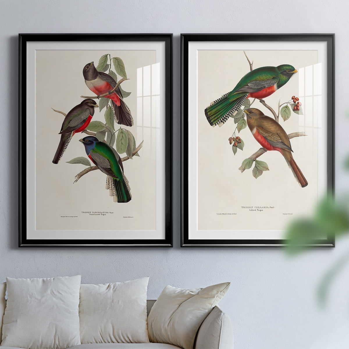 Wexford Home Elegant Trogons V Premium Framed Print, 22.5" x 30.5" - Ready to Hang, Black (Set of 2)