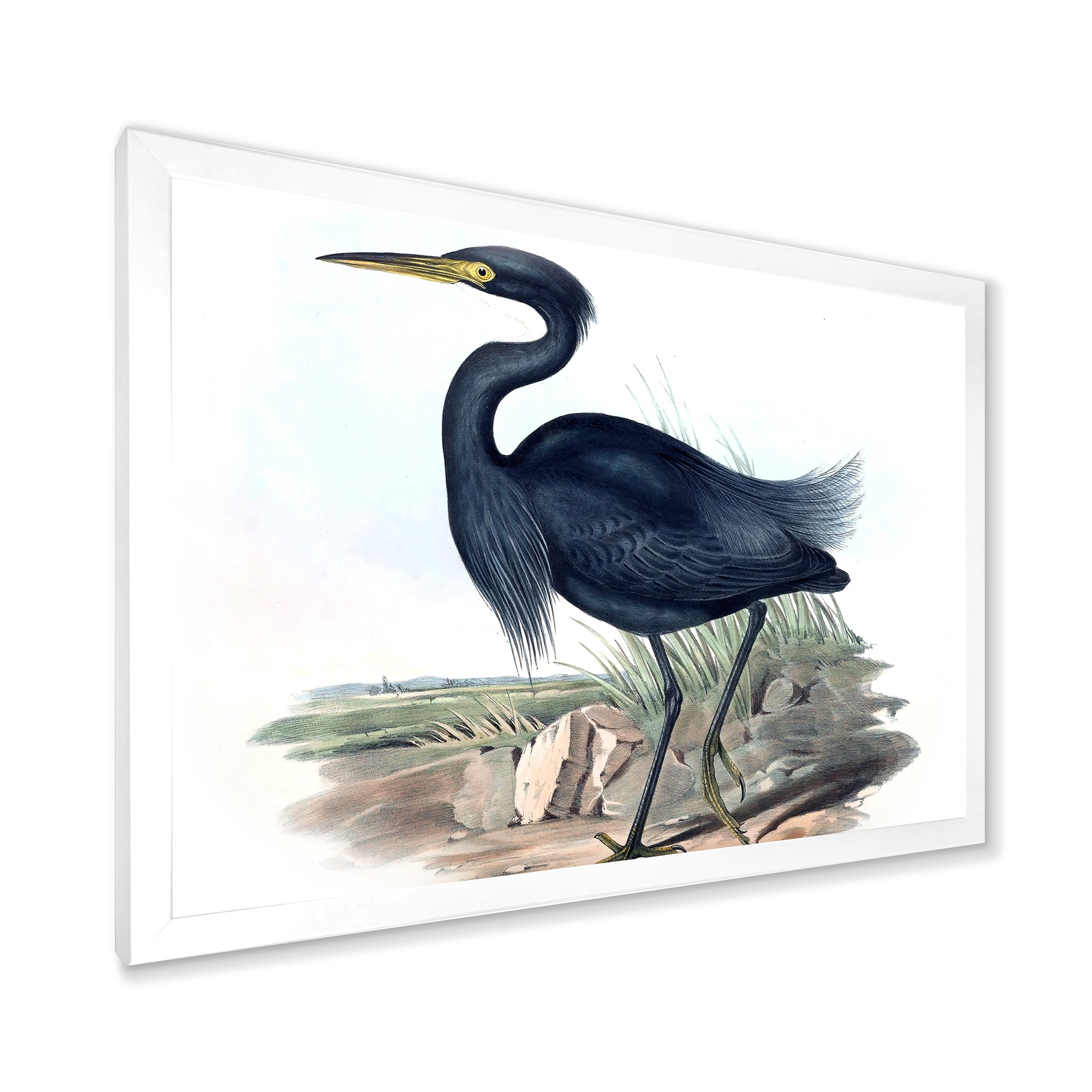 Designart 'Ancient Australian Birds III' Traditional Framed Art Print