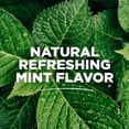 thumbnail image 6 of Tom's of Maine Sea Salt Natural Fluoride-Free Mouthwash, Refreshing Mint, 16 oz, 6 of 13