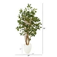 thumbnail image 2 of Nearly Natural 53in. Ficus Artificial Tree in White Planter, 2 of 2