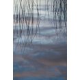 thumbnail image 2 of Rotenberg, Nancy 11x14 Gold Ornate Wood Framed with Double Matting Museum Art Print Titled - MI, Cloud reflections and reeds in Thornton Lake, 2 of 4