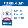 Kingsford Original Charcoal Briquettes for Grilling, 16 lbs