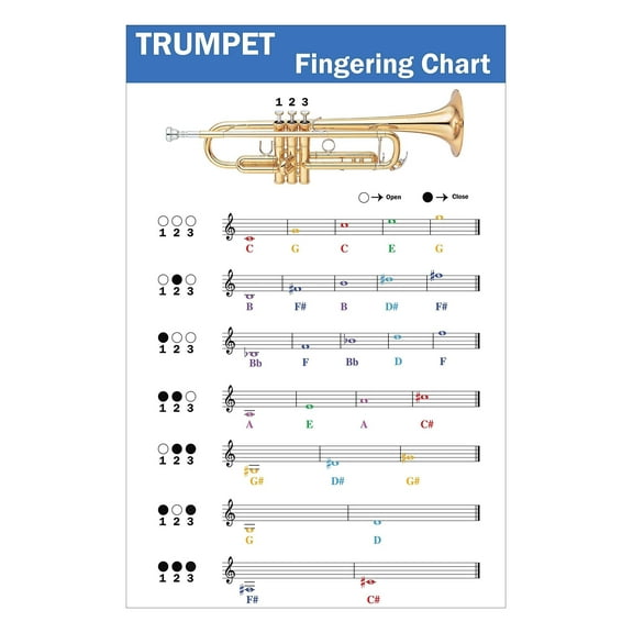 Trumpet Fingering Chart with Color-Coded Notes poster Learn Trumpet Technique Suitable for All Levels poster