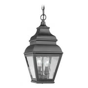 Livex Lighting - Exeter - Two Light Outdoor Hanging Black Finish with Clear