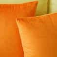 thumbnail image 5 of Dtwnek Set of 2 Comfy Soft Velvet Throw Pillow Cases with Zipper, Decorative Solid Square Cushion Covers for Bedroom Car Living Room, 16x16inch, 5 of 7