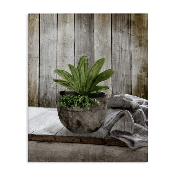 Stupell Industries Farmhouse Cozy Rustic Potted Plant Canvas Art, 24 x 30, by Kim Allen