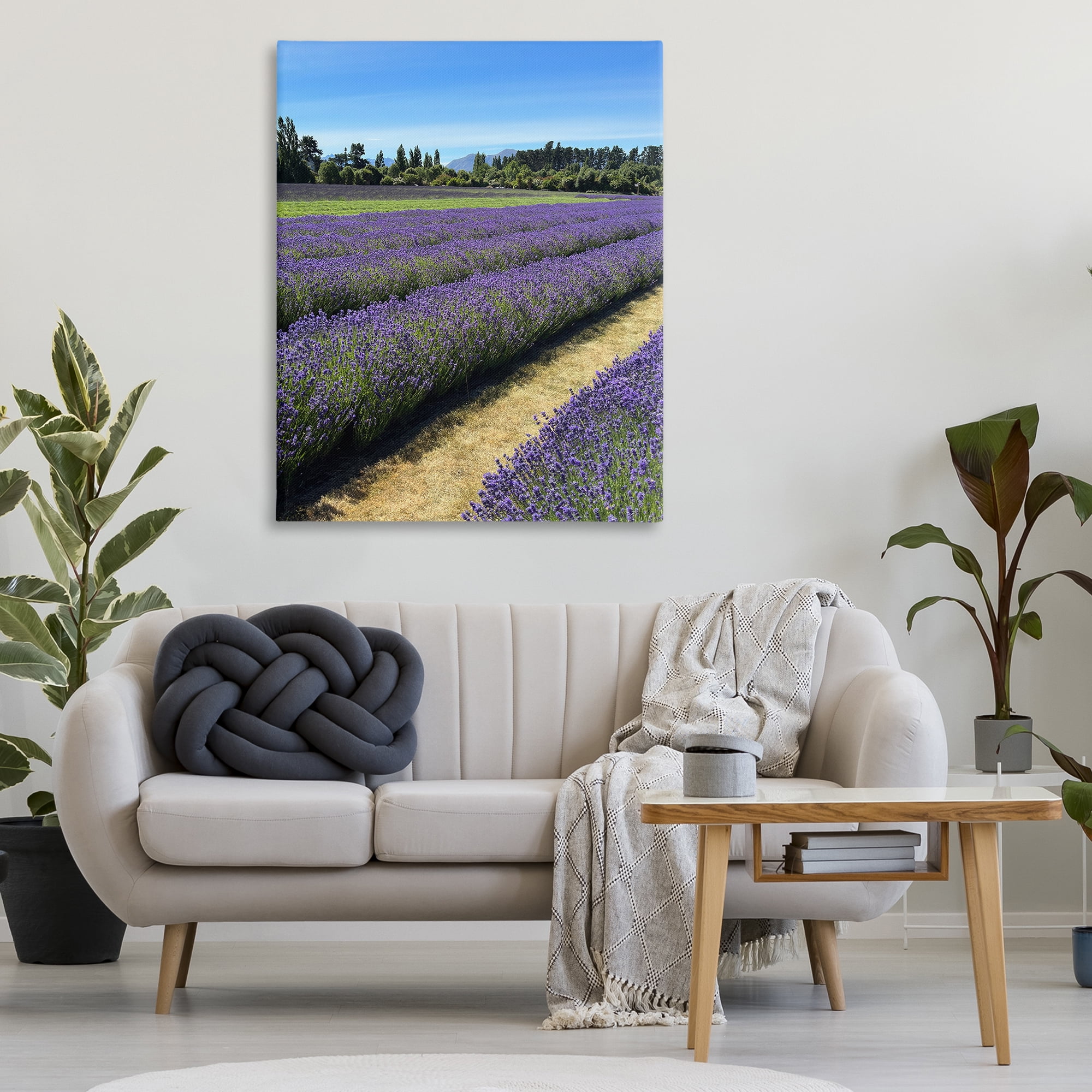 Stupell Industries Lavender Path Landscape Landscape Photography Gallery Wrapped Canvas Art Print Wall Art, 36 x 48