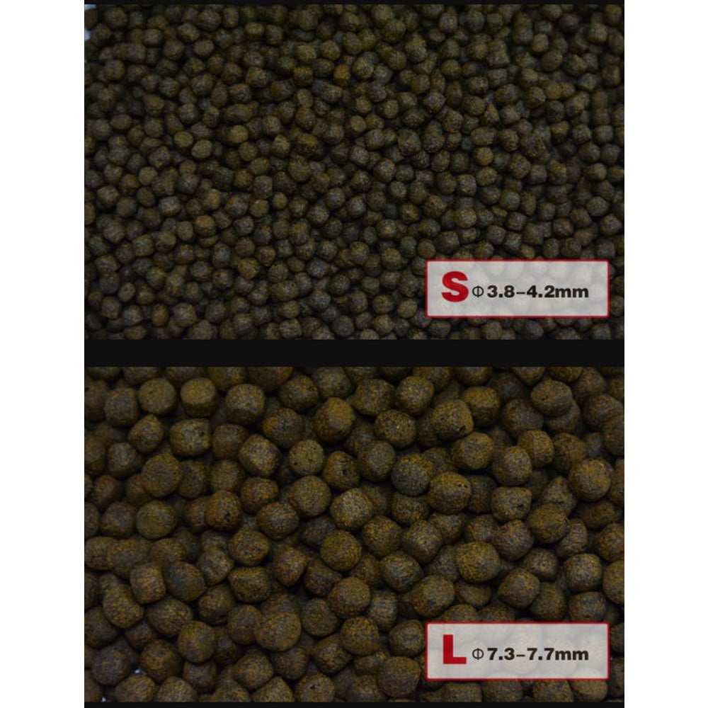 Aqua Master Color Enhancer Koi Food (1 KG) - Large Pellets