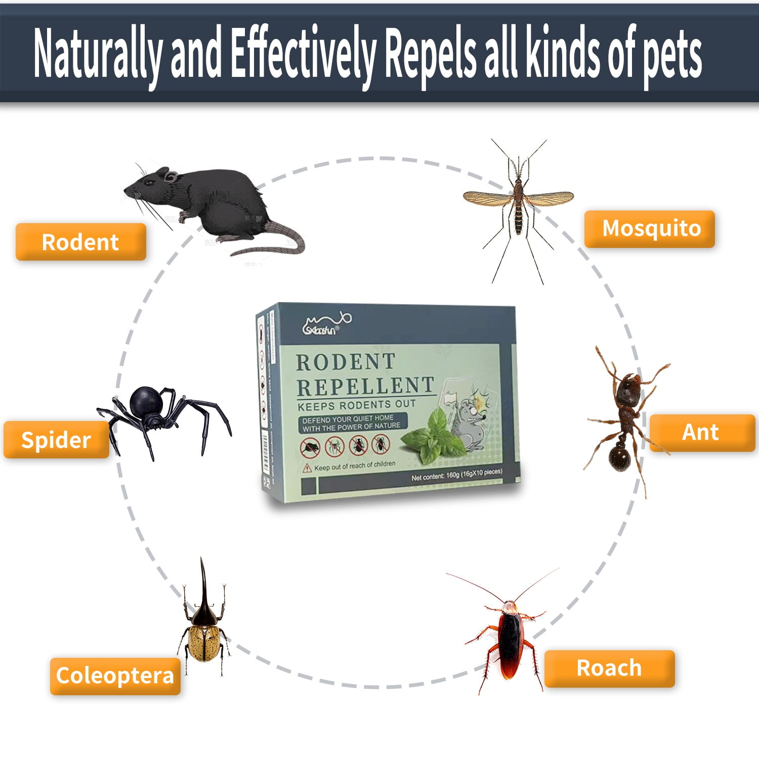 Mouse Repellent Indoor Humane - Natural Alternative to Mouse Traps - SXlianshun