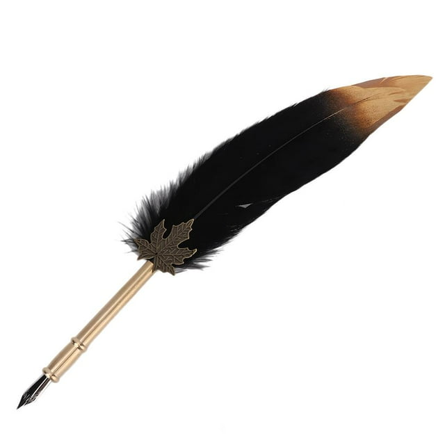 Rdeghly Exquisite Stainless Steel Nibs Dip Writing Feather Pen Set Include 5pcs Nibs