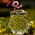 thumbnail image 2 of Promotion!Angel Hanging Glass Plant Flower Vase Hydroponic Pot Office 4 Pack, 2 of 6