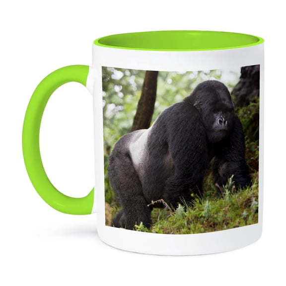 3dRose, Rwanda, Mountain Gorilla, No 2 Silverback -AF35 RBE0049 - Ralph H. Bendjebar, 11oz Two-Tone Green Mug