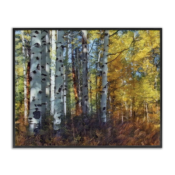 Stupell Industries Farmhouse Cluster of Birch Trees in Yellow Autumn Forest Black Framed Giclee Art, 14 x 11, by Larry McFerrin