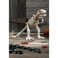thumbnail image 2 of 16in. T-Rex Skeleton Halloween Decoration, 2 of 3