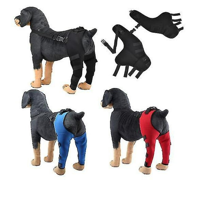 Protège-coude pour Chien, Coussinets, Protège-Pattes Arrière pour Animal de Compagnie, Genouillère Réglable pour Chiens, Soutien de Jambe