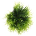 thumbnail image 1 of unbranded Planta Artificial Para Acuario Duradera Y Fácil De Limpiar Decorativa, 1 of 6