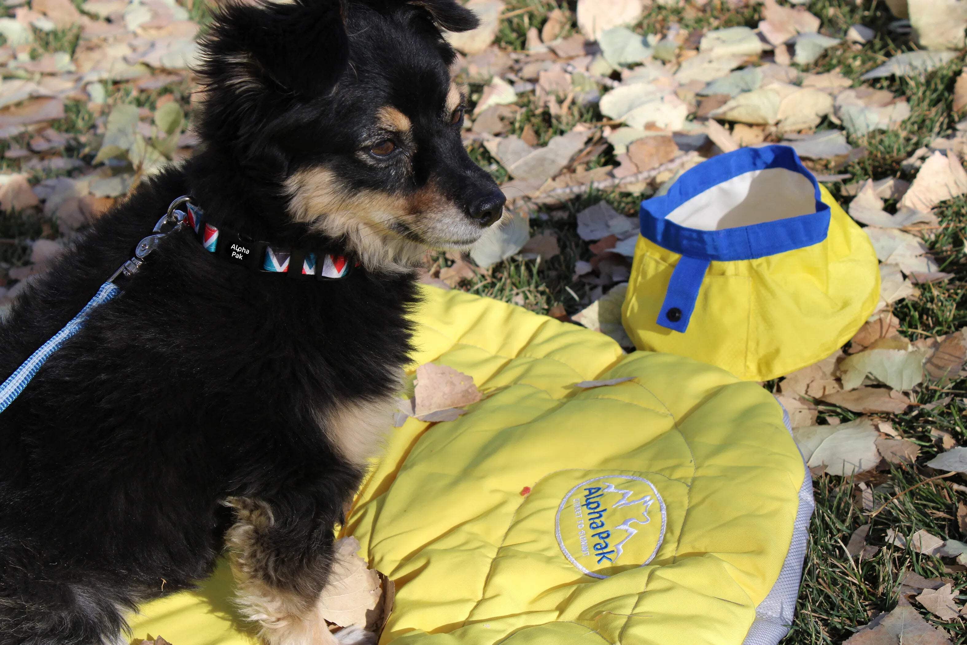 Alpha Pak - Adventure Compressible Waterproof Dog Sleeping Mat
