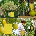 thumbnail image 6 of Best Value 50Pack 6×8in Dual-Sided Yellow Sticky Traps, Non-Toxic Insect Boards Catch Gnats Whiteflies Aphids Thrips Leafminers, Comes with 50 Mount Twist Ties for Indoor Outdoor Plants, 6 of 7