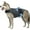Gray, variant on Dog Shirt for Thunder - Dog Anxiety Jacket, Dog Calming Vest, Fireworks and Separation - Keep Pet Calm Without Medicine & Training, Anti Anxiety Vest for Dogs