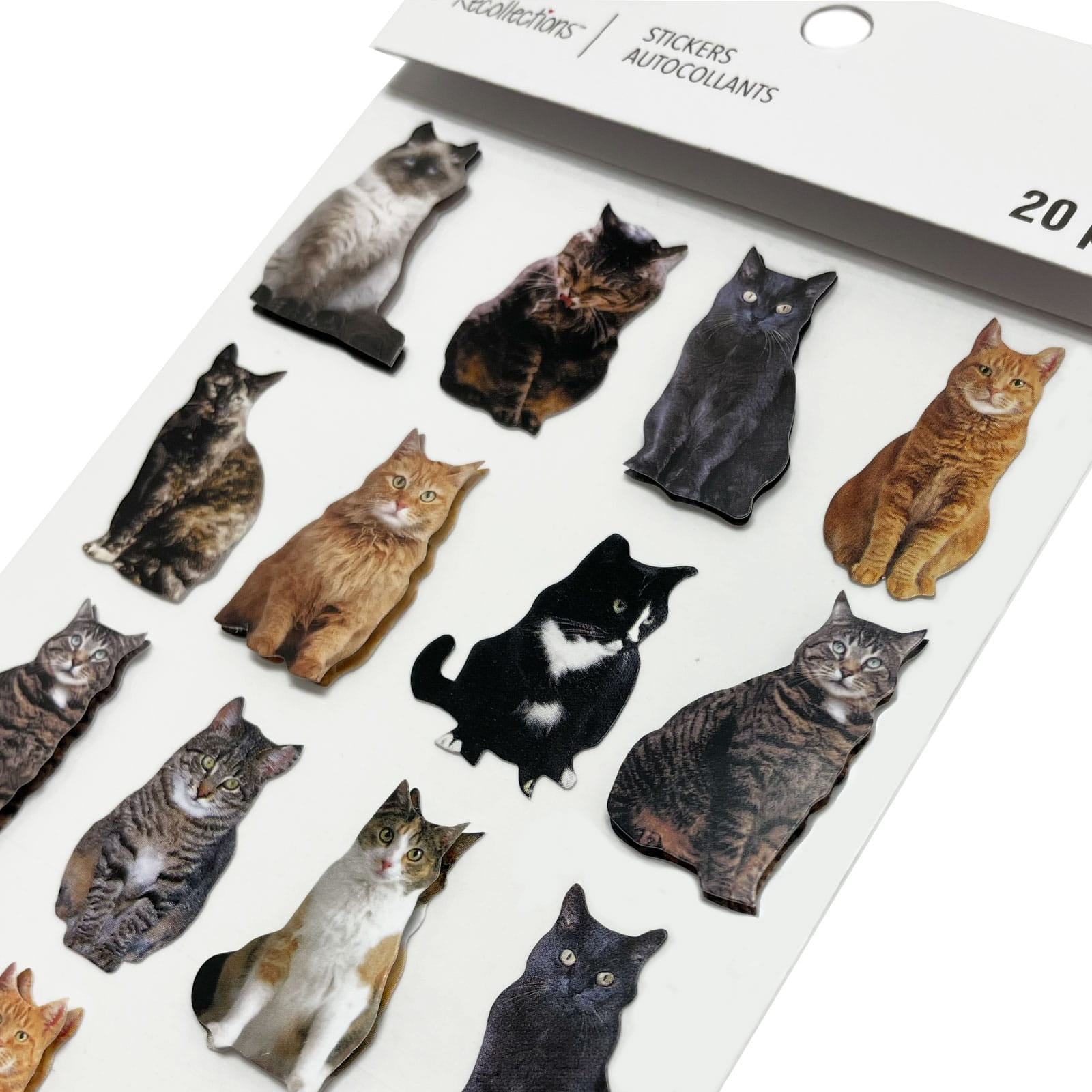 Recollections Mini Cat Stickers, 12 Packs: 20 ct. (240 total)