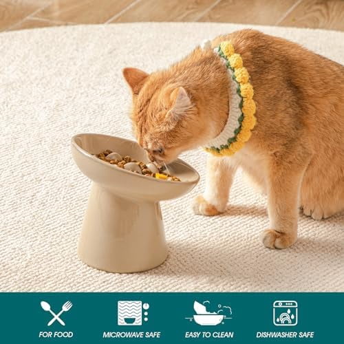 Ceramic Slow Feeder Cat Bowl, 6.25 Inch Elevated Cat Slow Feeder Bowl, Anti Vomiting for Dry and Wet Food, Brown