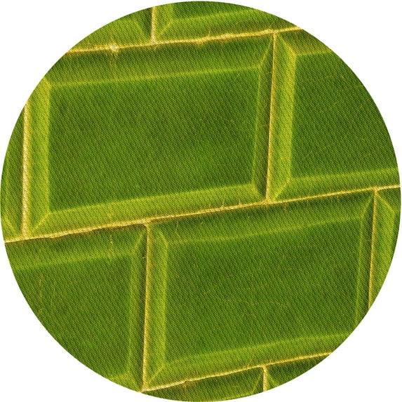 Ahgly Company Machine Washable Indoor Round Transitional Pistachio Green Area Rugs, 5' Round