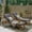 Teak, Yellow, Dark Gray, variant on Noble House Maki Outdoor Acacia Wood Chaise Lounge in Teak and Gray (Set of 2)
